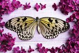 Beautiful lilac flowers and butterfly on wooden background  Motyle Fototapeta