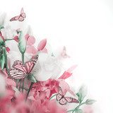 Bouquet of white and pink roses, butterfly. Floral background.  Motyle Fototapeta