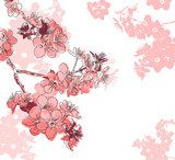 Retro floral background with a flower sakura  Rysunki kwiatów Fototapeta
