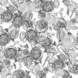 Vintage seamless monochrome roses pattern  Rysunki kwiatów Fototapeta