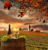 White wine with barell  in vineyard, Chianti, Tuscany, Italy  Plakaty do kuchni Plakat