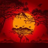 African sunset  Na meble Naklejka