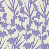 Lavender seamless pattern.  Na meble Naklejka