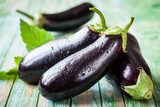 Eggplant  Obrazy do Kuchni  Obraz