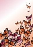 Schmetterlinge  Na drzwi Naklejka