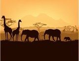 African animals silhouettes in sunset  Afryka Fototapeta
