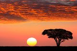 Sunset in Africa  Afryka Fototapeta
