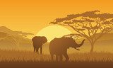 Elefanten  Afryka Fototapeta