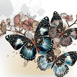 Fashion vector background with butterflies  Na laptopa Naklejka