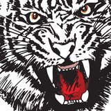 Sketch of tiger. Vector illustration  Na stół, biurko Naklejka