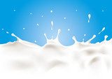 Vector splash of milk  Na lodówkę Naklejka