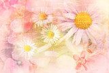 Pretty daisies artistic background  Na meble Naklejka