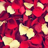 Background of rose petals in retro style  Na meble Naklejka