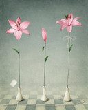 Three pink lily  Obrazy do Salonu Obraz