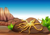 An octopus at the rock  Obrazy do Pokoju Dziecka Obraz