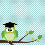Owl with graduation cap sitting on branch  Obrazy do Pokoju Dziecka Obraz