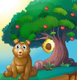 A bear in front of a big apple tree with a beehive  Obrazy do Pokoju Dziecka Obraz