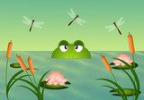 Frog in the pond  Obrazy do Pokoju Dziecka Obraz