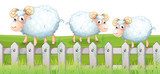 Three sheeps  Obrazy do Pokoju Dziecka Obraz
