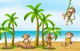 Monkey on beach  Obrazy do Pokoju Dziecka Obraz