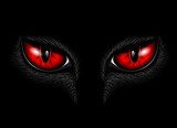 red cat's eyes  Zwierzęta Obraz