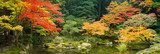 Japanischer Garten im Herbst  Krajobraz Fototapeta
