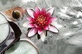 Pink water lily  Orientalne Fototapeta
