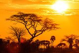 Orange glow of an african sunset  Afryka Fototapeta