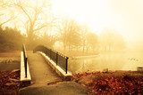 Fog and golden morning light with footbridge of pond  Fototapety Mosty Fototapeta