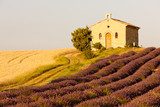 chapel with lavender and grain fields,Valensole,Provence  Prowansja Fototapeta