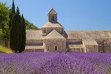SÃ©nanque Abbey (Provence, France)  Prowansja Fototapeta
