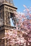 Spring in Paris  Fototapety Wieża Eiffla Fototapeta