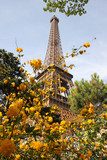 Eiffel Tower during spring time  in Paris, France  Fototapety Wieża Eiffla Fototapeta