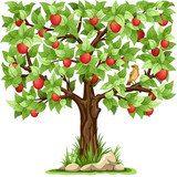Jabłoń pełna owoców. Fototapety do Pokoju Dziecka Fototapeta
