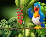 Papuga wśród gąszczy  Fototapety do Pokoju Dziecka Fototapeta