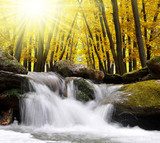 Autumnal forest with waterfall in Czech Republic  Fototapety Wodospad Fototapeta