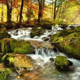 Herbstwald mit bunten BlÃ¤ttern  Fototapety Wodospad Fototapeta