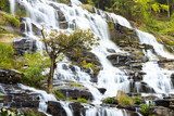 Mae Ya waterfall, Doi Inthanon National Park, Chiang Mai, Thaila  Fototapety Wodospad Fototapeta