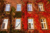 Windows of Wawel Castle (autumn) in Krakow, Poland.  Architektura Plakat