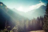 View of Tatra Mountains from hiking trail. Poland. Europe.  Plakaty do Sypialni Plakat