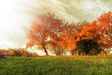 Autumn landscape  Plakaty do Sypialni Plakat