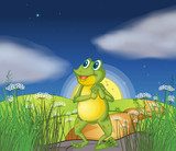 A frog looking at the bright star  Plakaty do Pokoju dziecka Plakat