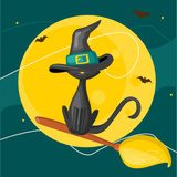 Cat on a broom, halloween background  Plakaty do Pokoju dziecka Plakat
