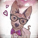 Hipster background with a dog  Plakaty do Pokoju dziecka Plakat