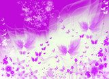 purple texture butterflies  Fototapety do Pokoju Dziewczynki Fototapeta
