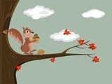 Vector illustration of a squirrel  Fototapety do Pokoju Chłopca Fototapeta