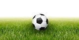 soccer ball and green grass  Stadion Fototapeta