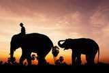 Elephant and baby on twilight time  Afryka Fototapeta