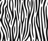 Zebra 1102  Afryka Fototapeta