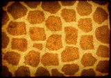 Texture of paper with animal skin pattern  Afryka Fototapeta